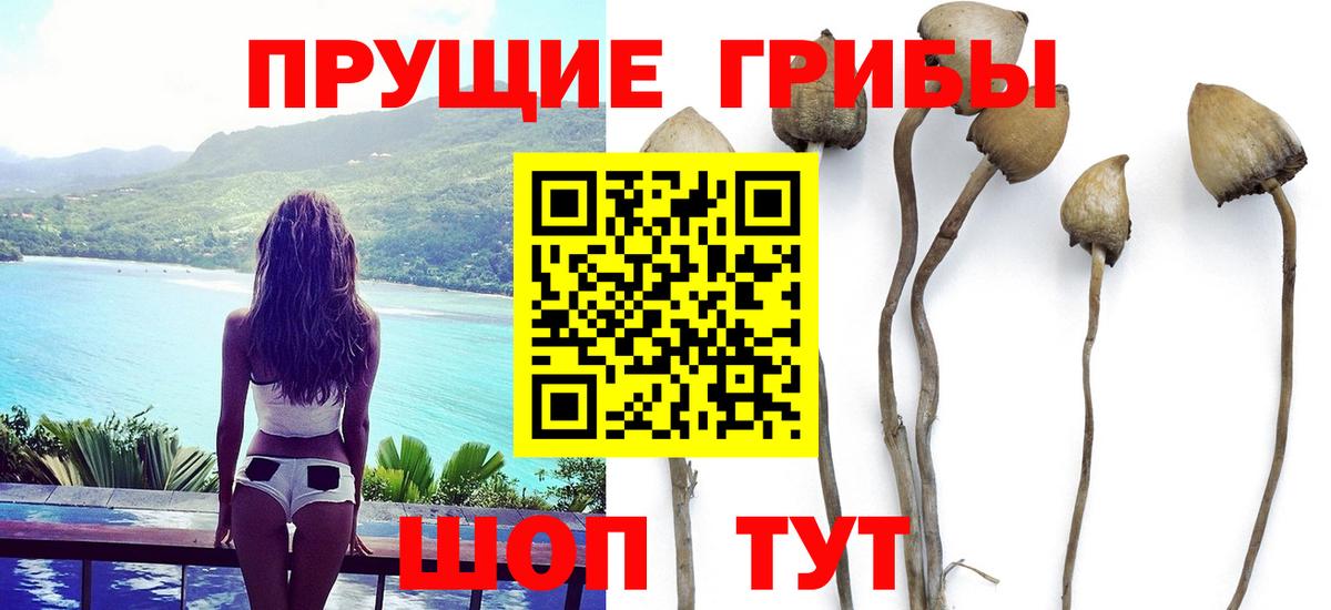 Псилоцибиновые грибы ЛСД Чистополь