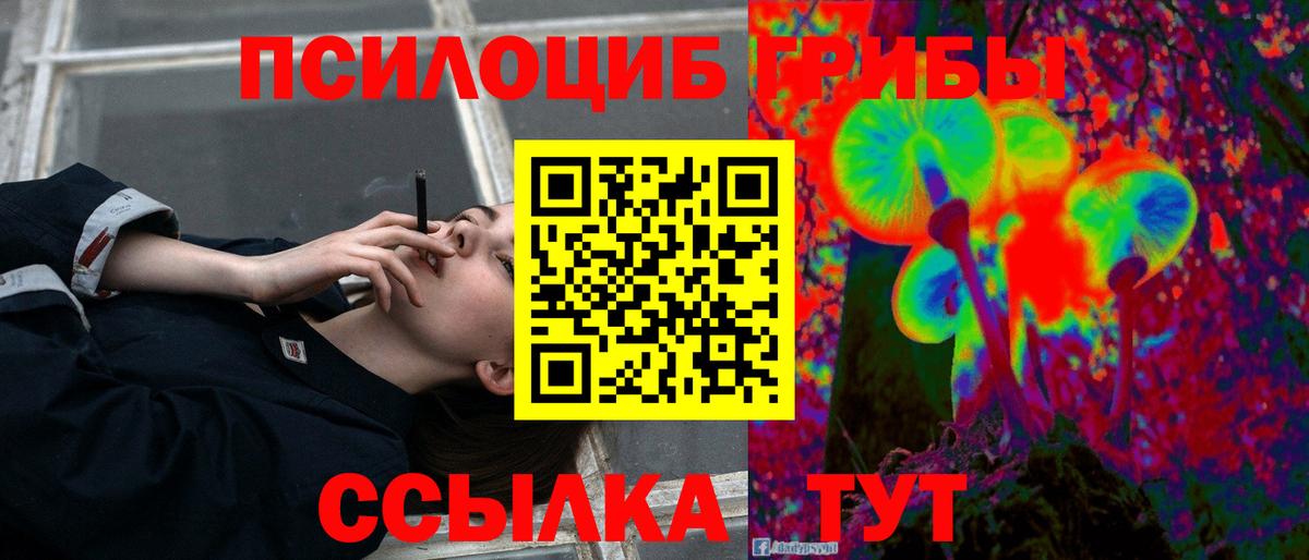 Чистополь  Галлюциногенные грибы ЛСД  Галлюциногенные грибы мицелий  Вход с VPN 